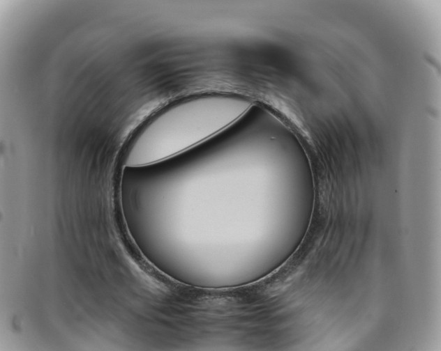 X0000096160629200801180852