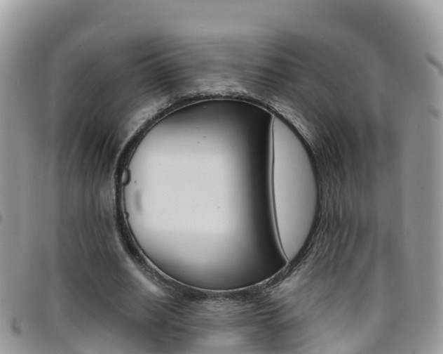 X0000096160630200801180852