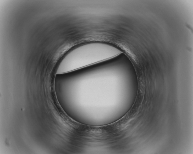 X0000096160631200801180852