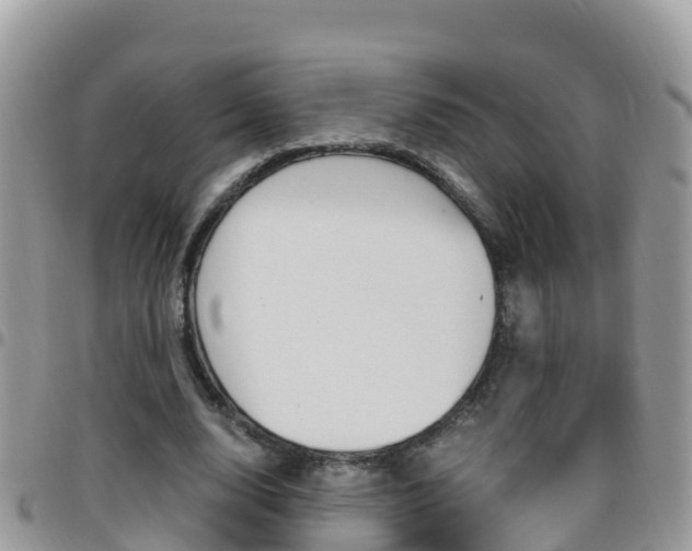 X0000096160632200801180852