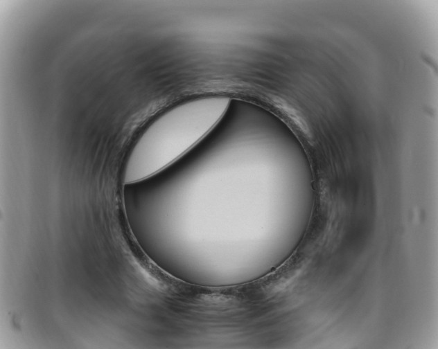 X0000096160633200801180852