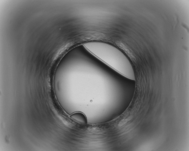X0000096160634200801180852