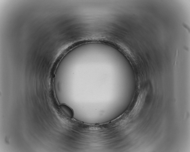 X0000096160636200801180852