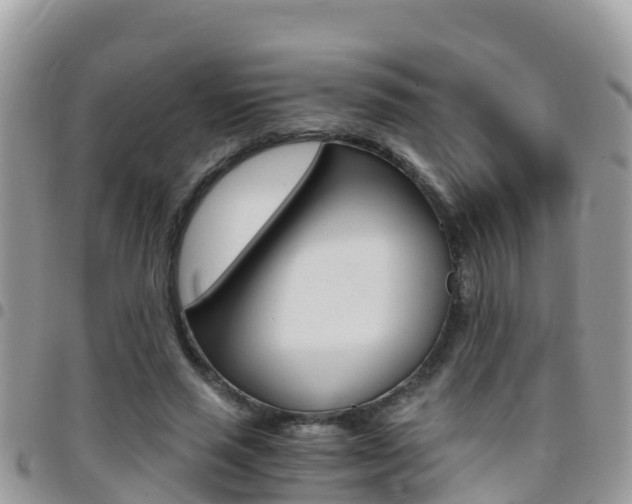 X0000096160637200801180852