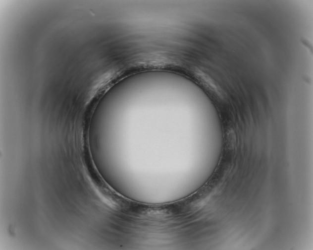 X0000096160638200801180852