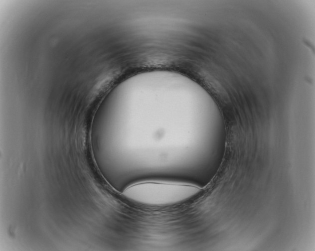 X0000096160640200801180852