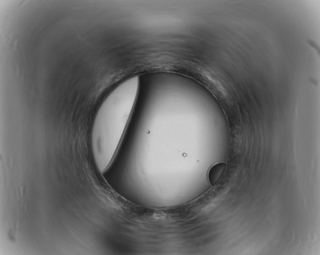 X0000096160641200801180852