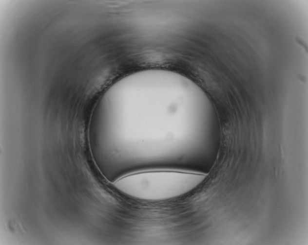 X0000096160642200801180852