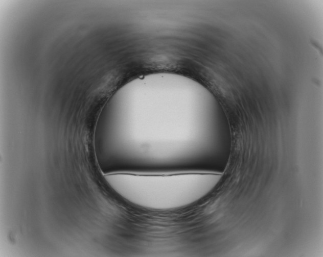 X0000096160643200801180852