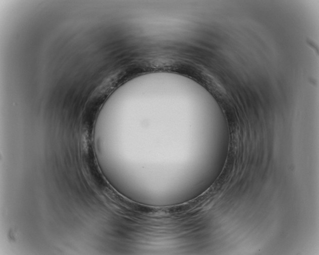 X0000096160644200801180852