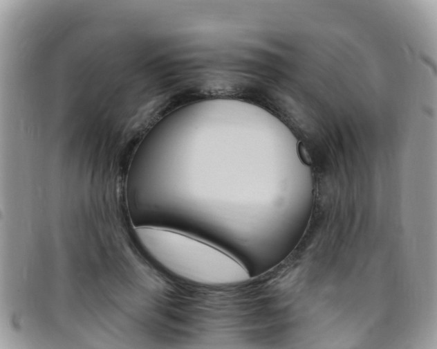 X0000096160645200801180852