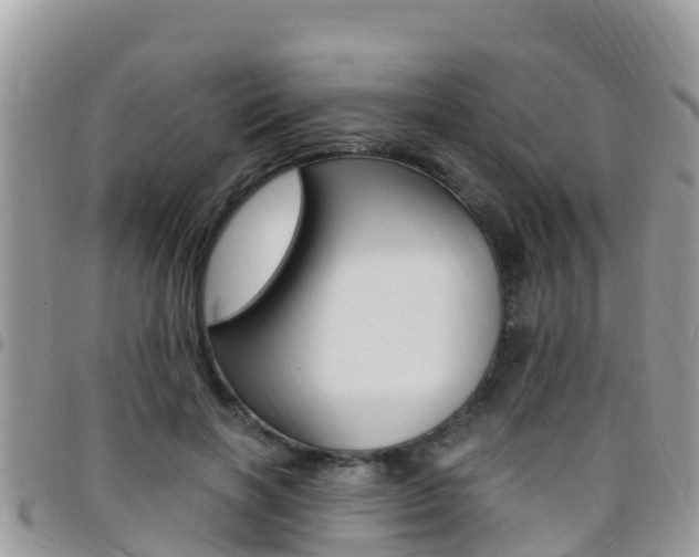 X0000096160646200801180852