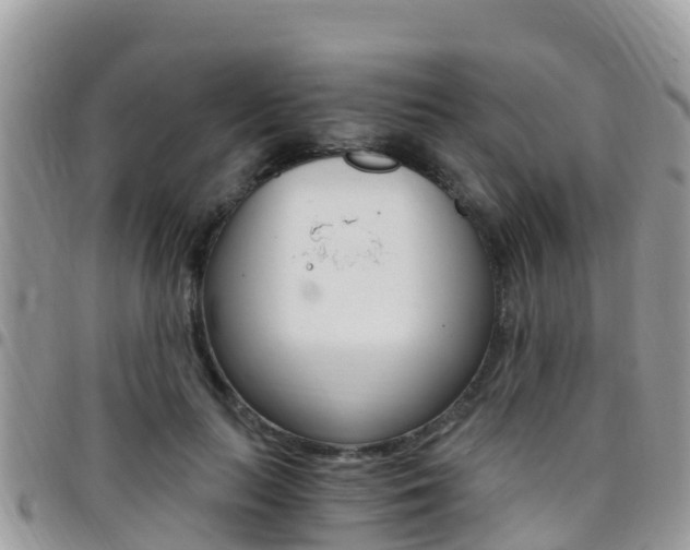 X0000096160647200801180852