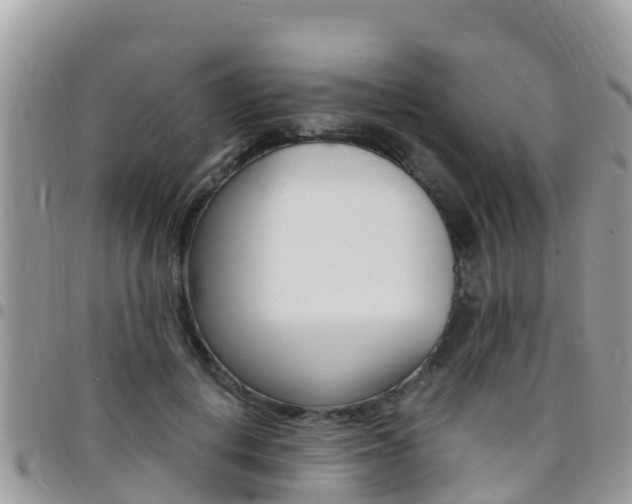 X0000096160648200801180852