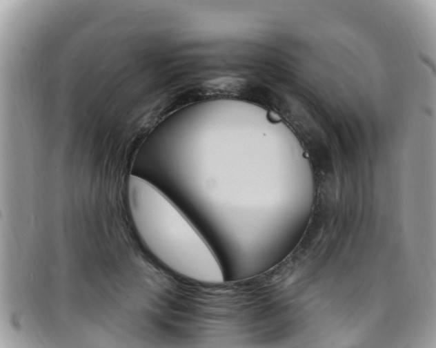 X0000096160649200801180852