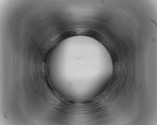 X0000096160650200801180852