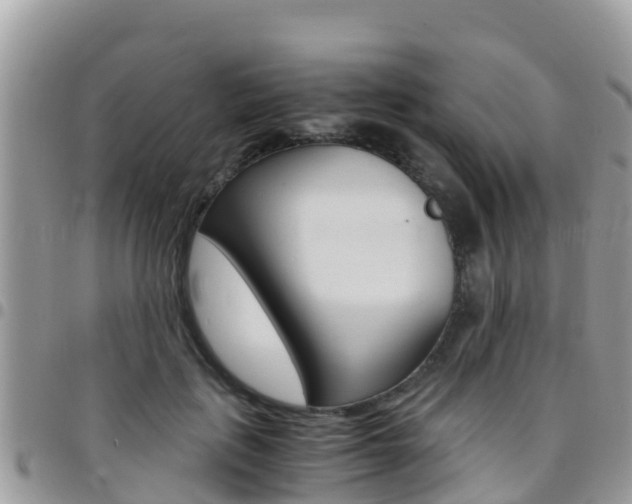X0000096160651200801180852