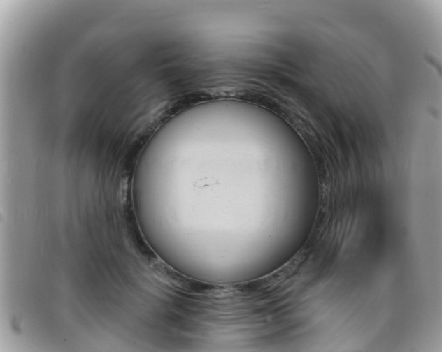 X0000096160652200801180852