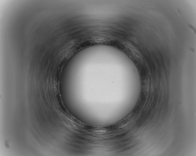 X0000096160653200801180852