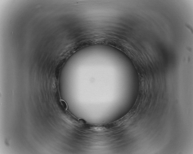X0000096160654200801180852