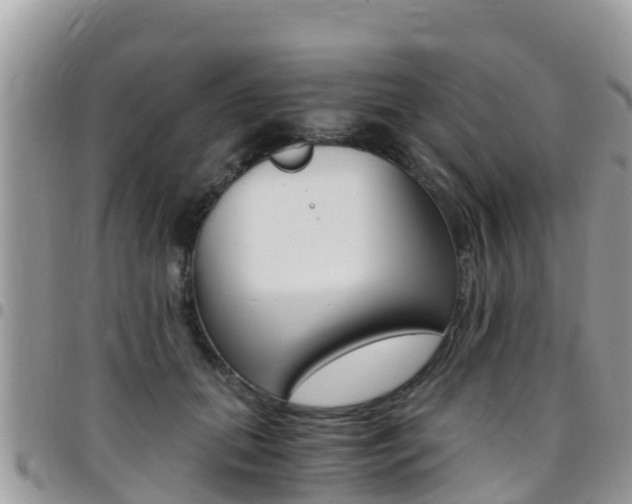 X0000096160655200801180852