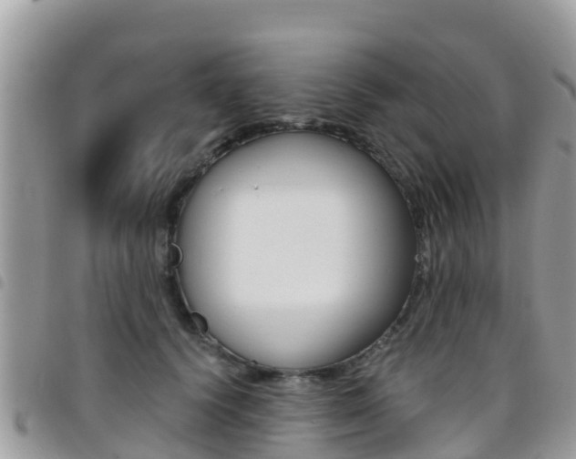 X0000096160656200801180852