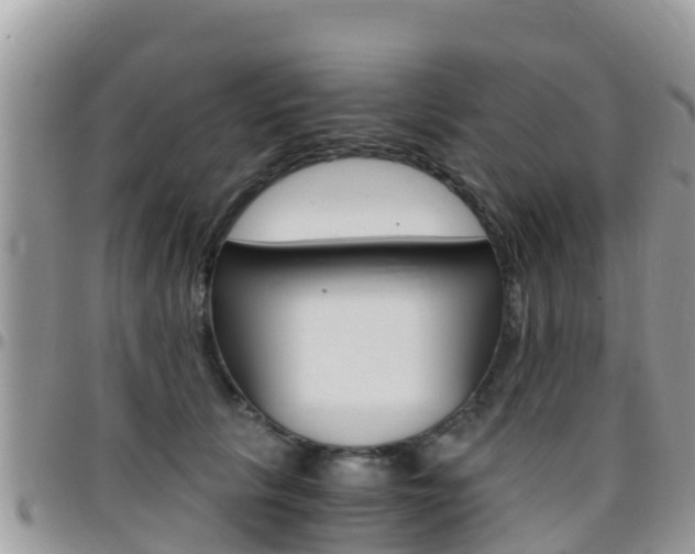X0000096160657200801180852