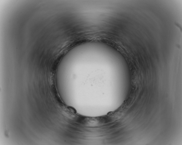 X0000096160658200801180852