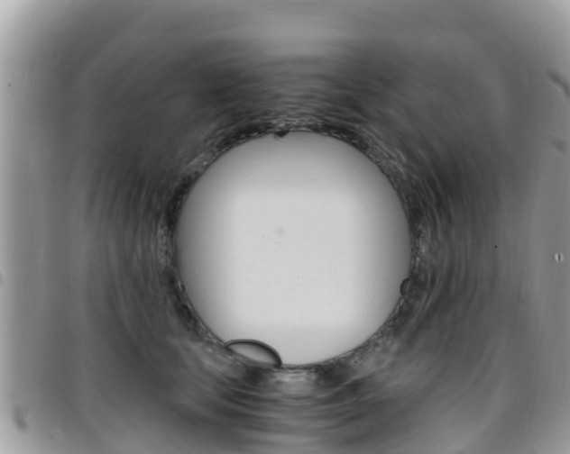 X0000096160659200801180852