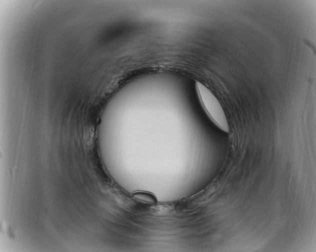 X0000096160660200801180852