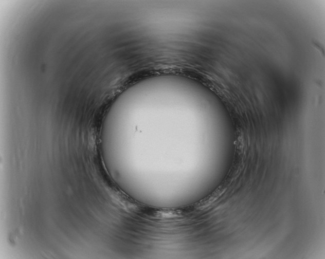 X0000096160662200801180852