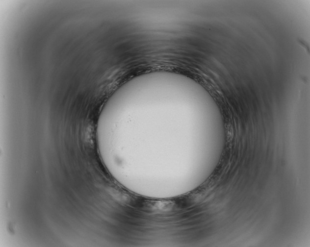 X0000096160663200801180852