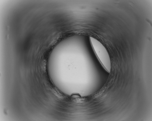 X0000096160664200801180852