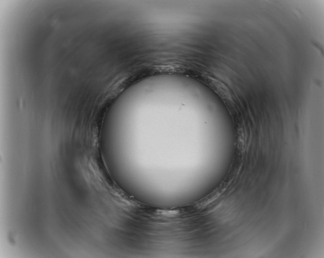 X0000096160665200801180852