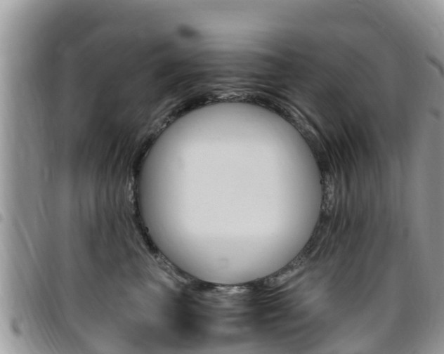 X0000096160667200801180852