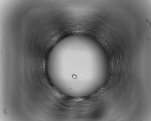 X0000096160668200801180852