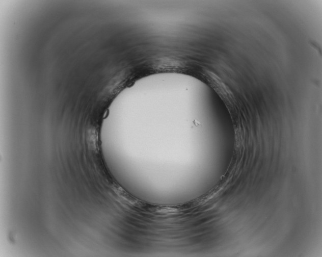 X0000096160669200801180852