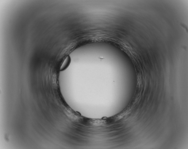 X0000096160670200801180852