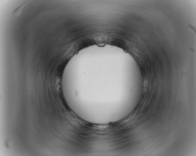 X0000096160671200801180852