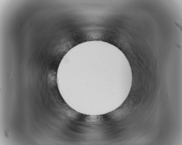 X0000096160672200801180853