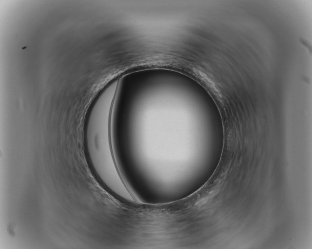 X0000096160673200801180852