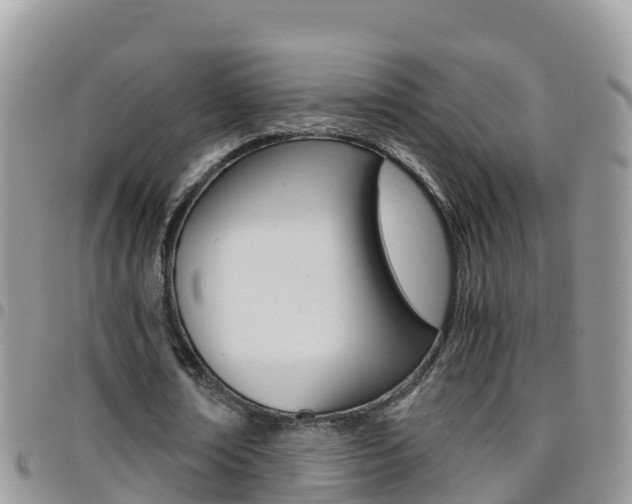X0000096160674200801180852