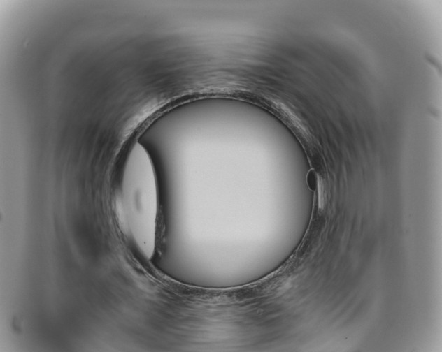 X0000096160675200801180852