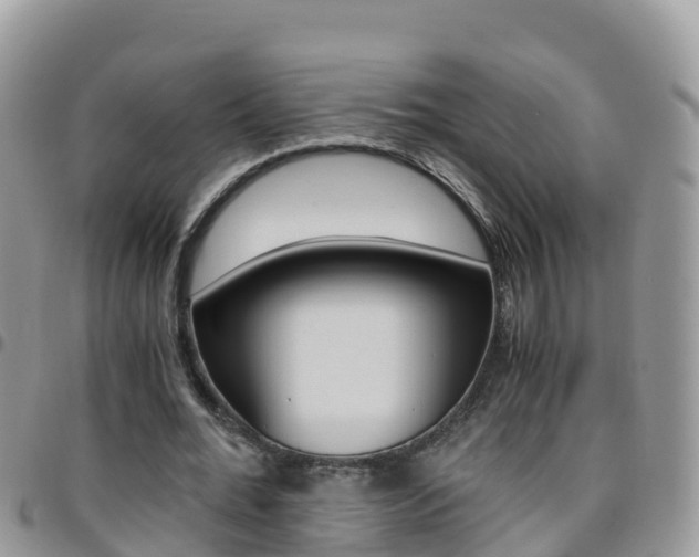 X0000096160676200801180852