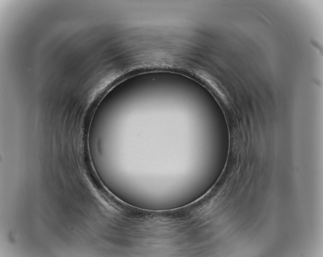 X0000096160677200801180852