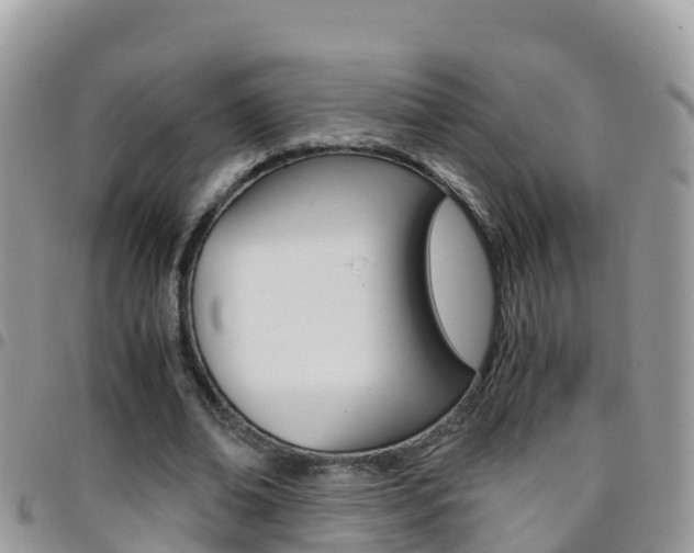 X0000096160678200801180852