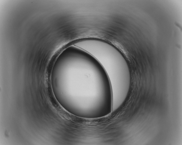 X0000096160680200801180852