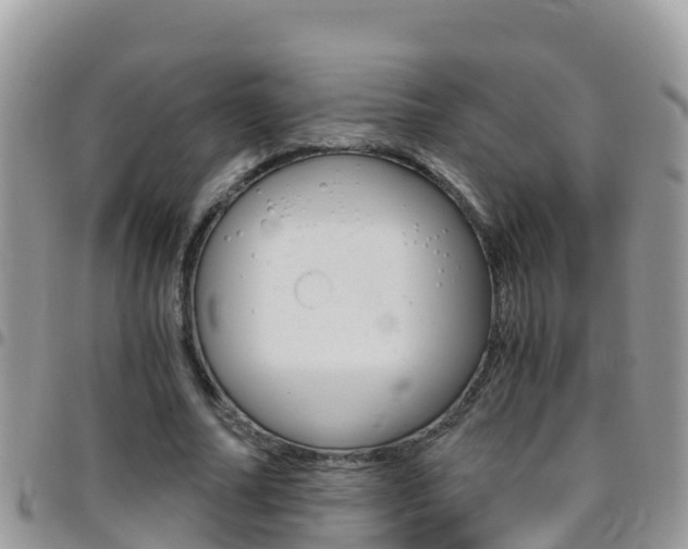 X0000096160682200801180852