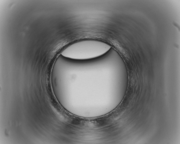 X0000096160683200801180852