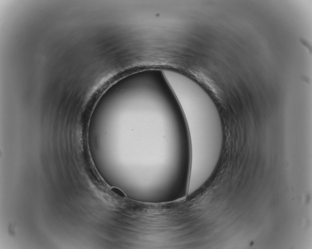 X0000096160684200801180852